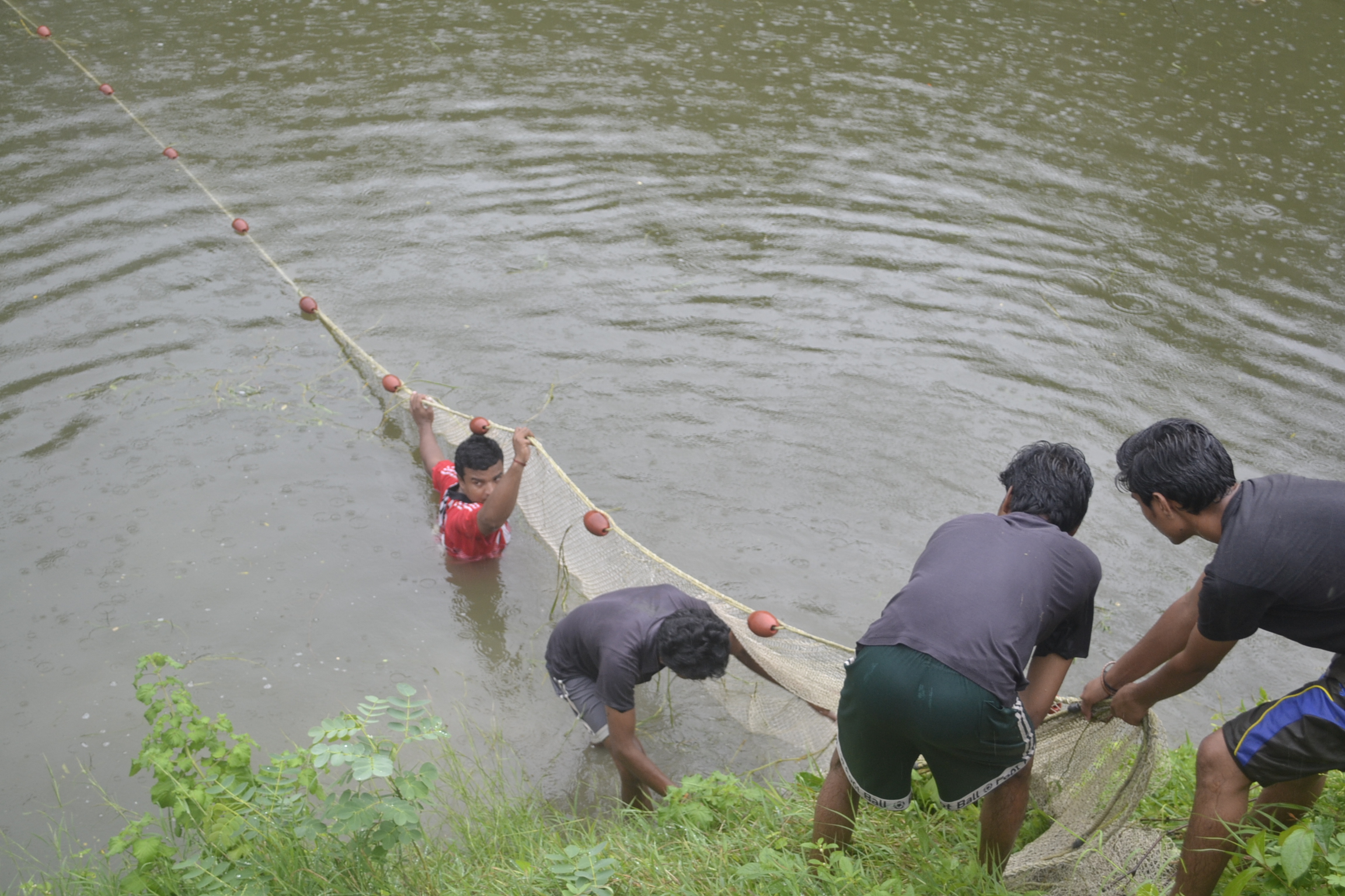 Fish Harvesting Operation